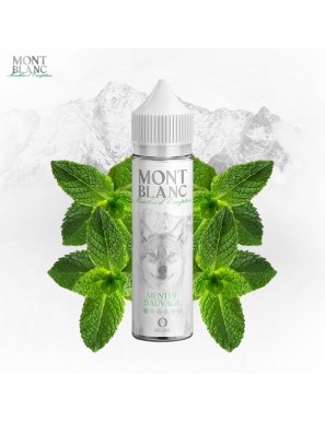 Menthe Sauvage - Mont Blanc...