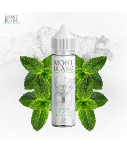 Menthe Sauvage - Mont Blanc - 50ml
