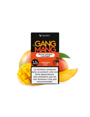 Cartouches Wcig Gang Mang  - Compatible Juul - Par 4 