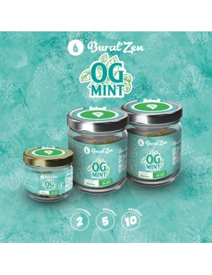 PACK OG Mint 2g 10 + 2 offerts
