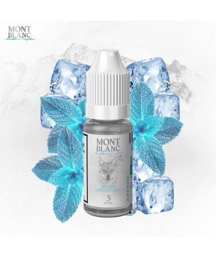 Menthe Cryogénique- Mont Blanc - 10ml