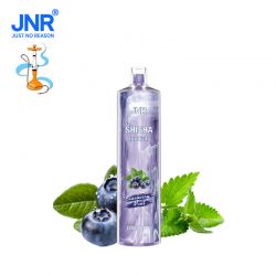 Blueberry Mint - 12000 Puff - JNR