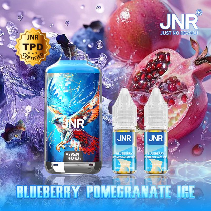 Blueberry Pomegranate Ice 28000 puffs 20mg - Falcon-X JNR