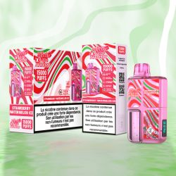 Strawberry Watermelon Ice - Artery 15000 Puff - à l'unité