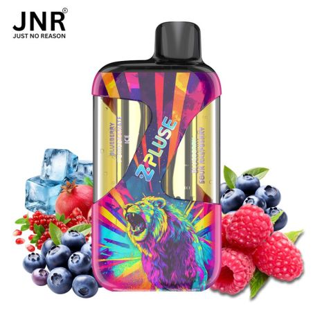 Blueberry Pomegranate Ice + Blueberry sour raspberry 42K - Zpluse JNR - à l'unité