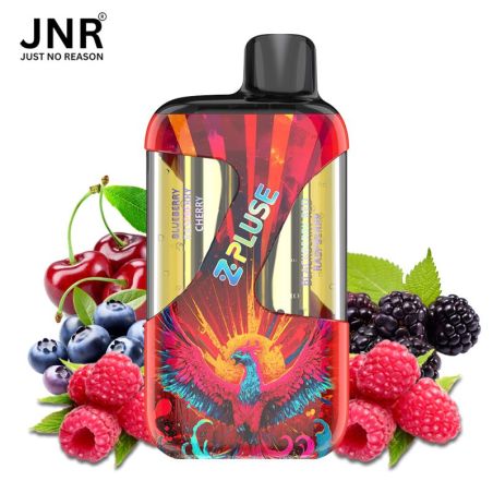 Blueberry Raspberry Cherry + Blackberry Red Raspberry 42K - Zpluse JNR - à l'unité